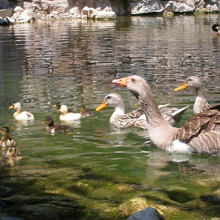 Adrasan River Hotel Kumluca 외부 사진